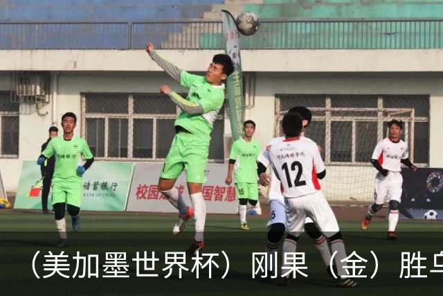 （美加墨世界杯）刚果（金）胜乌兹别克斯坦晋级 韩国无缘32强
