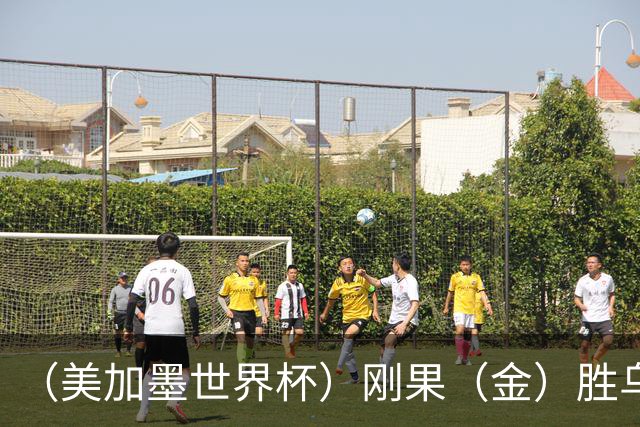 （美加墨世界杯）刚果（金）胜乌兹别克斯坦晋级 韩国无缘32强